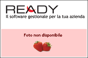 Ammortizzatore Anteriore Idraulico regolabile YSS, omologato ABE - Vespa small