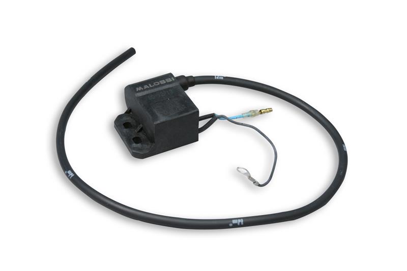 Electronic control unit for Malossi ignition