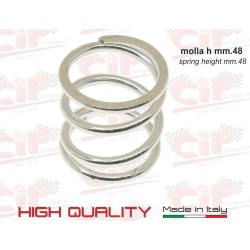 Gruppo frizione completa FABBRI R12