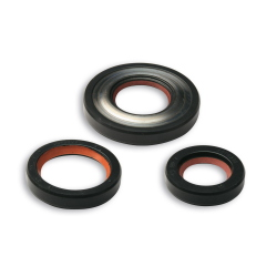 Kit paraolio Malossi 6615750 per albero motore Vespa Smallframe: 19x32x7 e 22,7x47x7 mm, materiali FKM e PTFE.