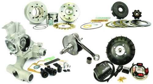Kit Pinasco Master 26484231 260 cc a valvola rotante per Vespa PX/PE 125-200, con carter, gruppo termico, albero, frizione e Flytech.