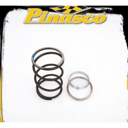Spring Slider Pinasco 10412023 con molla per trasmissioni Aprilia, Benelli, Malaguti e Yamaha 250 compatibili; verificare il correttore installato.