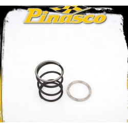 SPRING SLIDER C/MOLLA MOTORI MINARELLI - YAMAHA 125/150