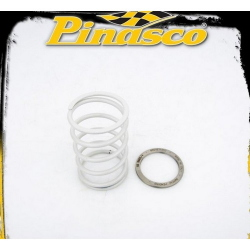 Spring Slider Pinasco 10412062 con molla per Suzuki Burgman AN 250 fino al 2000. Riduce la torsione della molla nel gruppo posteriore CVT.