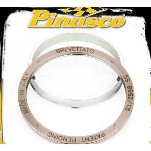 Kit Pinasco Spring Slider 10412090 con molla dedicata e cuscinetto assiale per Honda Jazz 250 compatibili. Verificare la trasmissione installata.