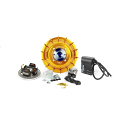 ACCENSIONE FLYTECH RACING VESPA PX Ø 20 KG. 1,35 - GOLD