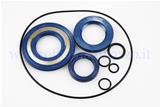 Oil seal kit