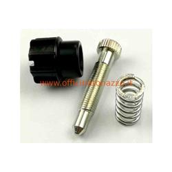 Screw complete minimum of spring adjustment for carburettor Dell'Orto VHSH