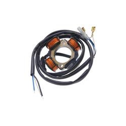 Electronic stator for Polini ignition with variable advance with or without electric starter for Vespa PX