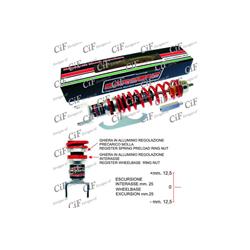 Ammortizzatore posteriore CARBONE HI TECH ROSSO  per Vespa ruote da 10"