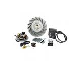 Accensione Pinasco Flytech Touring cono 17 - 1.6 kg Vespa VNB - VBB - GT - GTR - SPRINT - SPRINT V. - TS 1°Serie