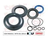 Serie paraolio motore Rolf per Vespa Rally 180-200
