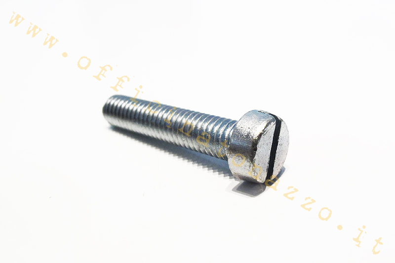 Slotted head screw M6 indicated for flywheel cover fixing (6x30)