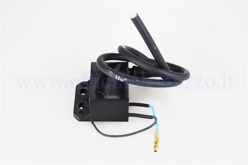 Electronic control unit for Polini ignition (coil)
