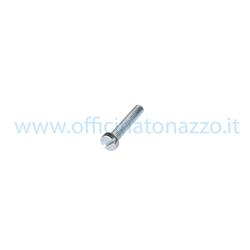 Slotted head screw M5x25mm