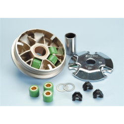 Variatore POLINI Maxi Hi-Speed, per AEON 50 Cabro/DINLI 50 Helix DL603/T-Rex, 16x13 mm, 6 rulli
