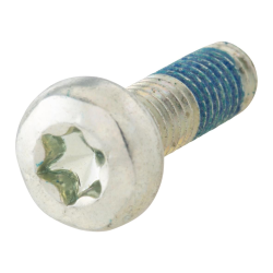 Vite guida catena M5x16 mm, Torx, PIAGGIO per PIAGGIO Beverly/MP3/X10 350ccm 4T LC