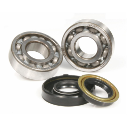 Cuscinetto albero motore per MINARELLI orizzontale/verticale 20x47x14 mm, albero motore PIAGGIO/GILERA, incl. paraolio