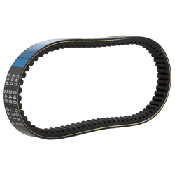 Cinghia POLINI Evolution Versione 6 per GILERA/PIAGGIO 50cc 2 tempi, l 748 mm, l 20,0 mm, h 10,5 mm, 28Â°, poliammide RACE-Tuning, per le massime esigenze Grado A - riparazione perfetta