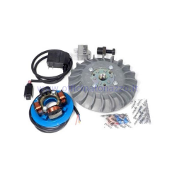 Accensione Parmakit anticipo variabile cono 19 - 1.0 kg con volano IDM rivettato per Vespa 50 - ET3 - Primavera - PK (ventola grigia)