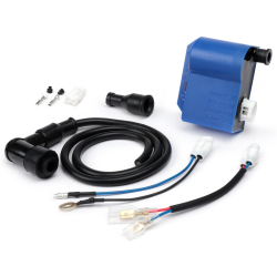 Centralita BGM PRO con avance fijo para encendido IDM - Ducati tipo azul Vespa PX, PK, Lambretta - Polini IDM, Vespatronic, VesPower, Varitronic, Flytech, Parmakit