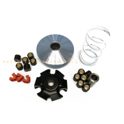Multivar 2000 Malossi variator weights 14 g for  Vespa - X7 - X8 - X9 - X EVO - Beverly - Carnaby - Runner - DNA - Nexus - ZIP 125