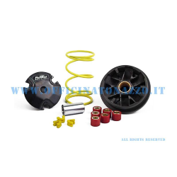 Pinasco Overdrive variator for ZIP SP - Quartz - ET2 - Free - NRG