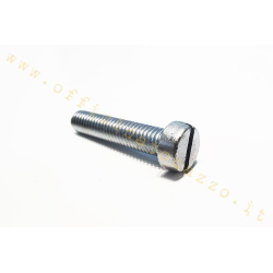 Schlitzschraube M7x20mm