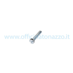Vis à tête fendue M5x25 mm