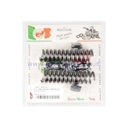 Fork overhaul kit for Ciao PX model with springs