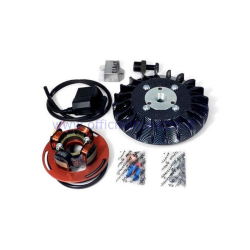 Parmakit-Zündung mit variabler Vorzündung, 20 - 1,0 kg, mit Schwungrad aus dem Vollen gefertigt, für Vespa PX 125/150/200 - PE200 (Lüfter in Carbon-Optik)
