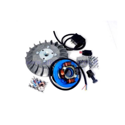 Allumage Parmakit à avance variable cône 19 - 1,0 kg avec volant d'inertie usiné dans le plein pour Vespa 50 - ET3 - Primavera - PK (ventilateur gris)