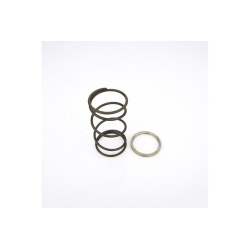 Spring slider with spring Pinasco Vespa et 4 125