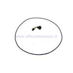 kit de révision jante tubeless Pinasco (or+valve)