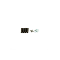 Pinasco Vespa small racing primary clutch kit