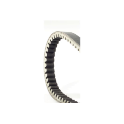 Correa de transmisión Vespa PK50/S/XL Automática/Plurimática 15,0x621 mm