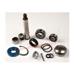 Fork overhaul kit for Vespa 50 L - N - R