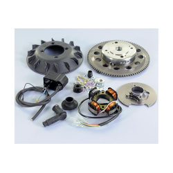 POLINI IGNITION FOR  APE 50 1.4 kg ELECTRIC START 5 WIRES