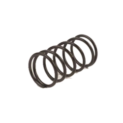 Spring for side panel fixing screw for Ciao, Si, Bravo, Boxer