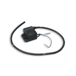 Electronic control unit for Malossi ignition