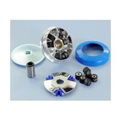 Variator Polini für Ciao - SI - Bravo - Boxer - Grillo