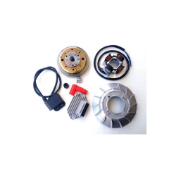 Allumage VMC à avance variable cône 19 Poids 1,4 kg, volant riveté pour Vespa ET3 50 PK