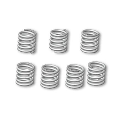 Kit of 6 Malossi replacement springs (small) for group 5217808