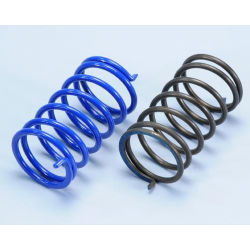 Polini-Variator-Kontrastfedernsatz für PIAGGIO CIAO, blau und schwarz