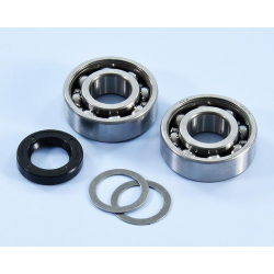 Kit de revisión Polini para árbol motor para SI - Ciao