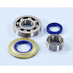 Kit revisione Polini per albero motore per Vespa PX 125/150/200