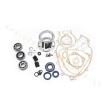 Kit revisione e restauro