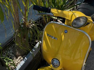 vespa 50 special