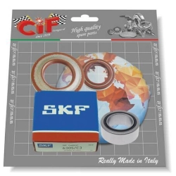 Kit de revisión del árbol motor para Ape TM P703-P602