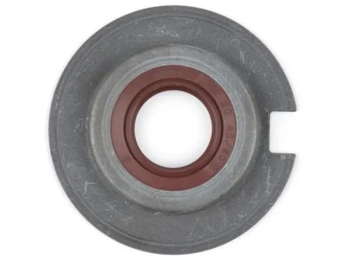 Paraolio BGM PRO BGM1040 in FKM 20x40/60x7 mm per Vespa Largeframe e Wideframe compatibili, con doppia tenuta e resistenza all'etanolo.